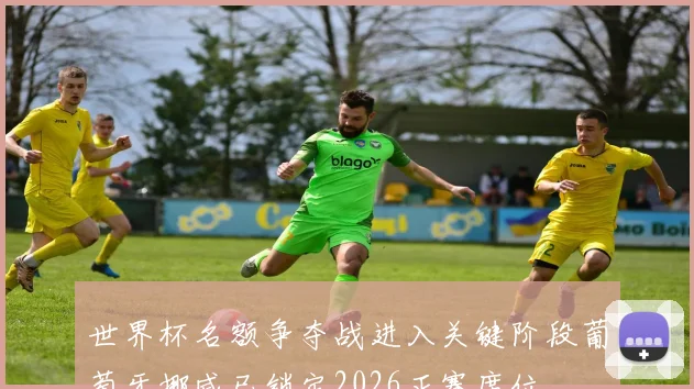 世界杯名额争夺战进入关键阶段葡萄牙挪威已锁定2026正赛席位