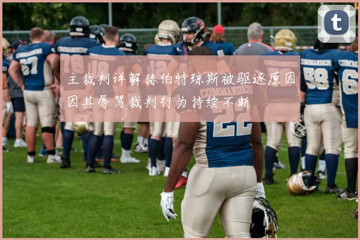 主裁判详解赫伯特琼斯被驱逐原因因其辱骂裁判行为持续不断