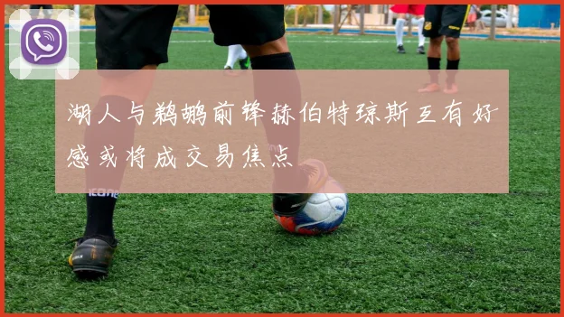 湖人与鹈鹕前锋赫伯特琼斯互有好感或将成交易焦点